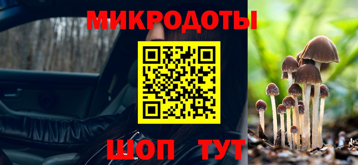 Галлюциногенные грибы прущие грибы Великий Новгород